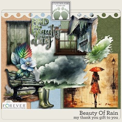 Beauty of Rain by LFDD.jpg