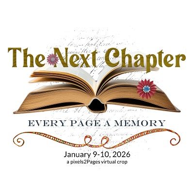 Logo_TheNextChapter_WhiteBackground_KM 400.jpg