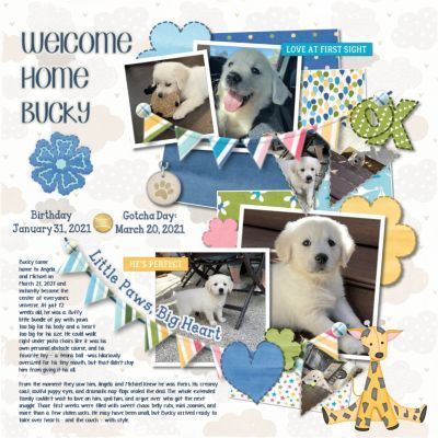 p2P_12_7_WelcomeHomeBucky_KM_sample.jpg